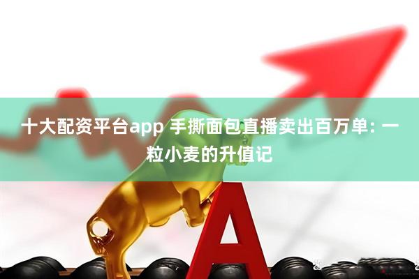 十大配资平台app 手撕面包直播卖出百万单: 一粒小麦的升值记