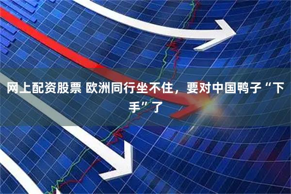 网上配资股票 欧洲同行坐不住，要对中国鸭子“下手”了